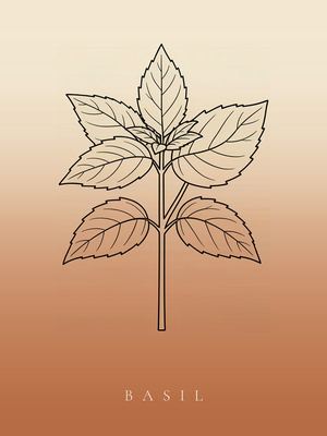 Basilikum, Japandi Poster mit botanischer Line Art im Verlauf von Creme zu Terrakotta