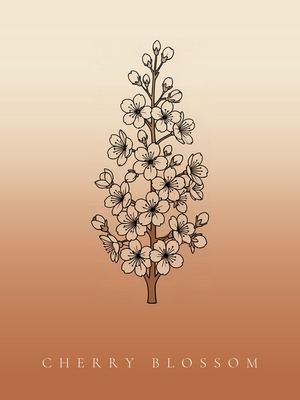 Kirschblüte, Japandi Poster mit botanischer Line Art im Verlauf von Creme zu Terrakotta