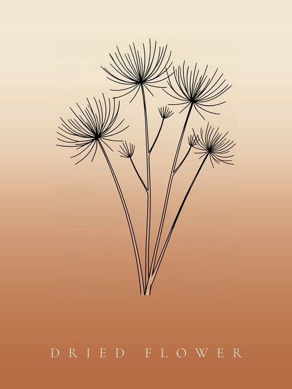 Trockenblume