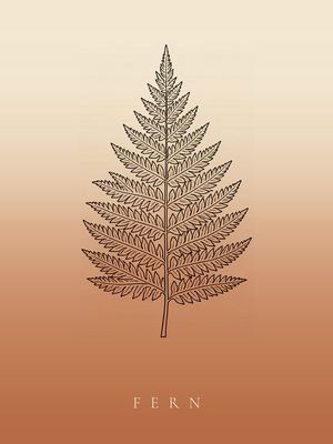 Farn, Japandi Poster mit botanischer Line Art im Verlauf von Creme zu Terrakotta