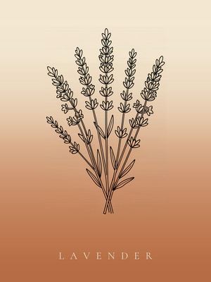 Lavendel, Japandi Poster mit botanischer Line Art im Verlauf von Creme zu Terrakotta