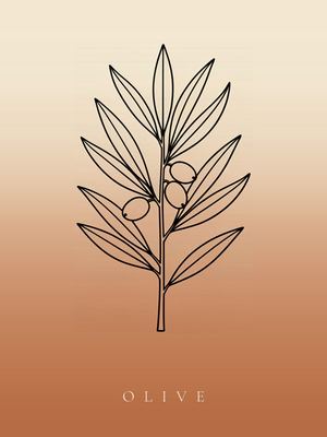 Olivenzweig, Japandi Poster mit botanischer Line Art im Verlauf von Creme zu Terrakotta
