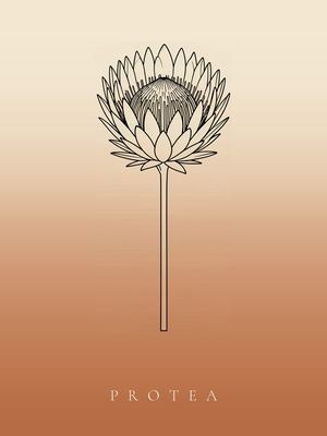 Protea, Japandi Poster mit botanischer Line Art im Verlauf von Creme zu Terrakotta