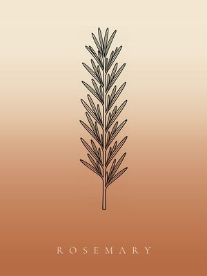 Rosmarin, Japandi Poster mit botanischer Line Art im Verlauf von Creme zu Terrakotta