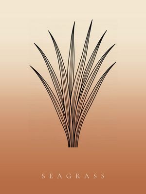 Seegras, Japandi Poster mit botanischer Line Art im Verlauf von Creme zu Terrakotta